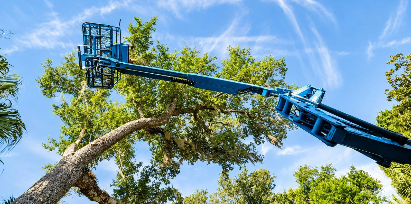 Blue tree-service boom lift extended beside a mature tree against the sky.
