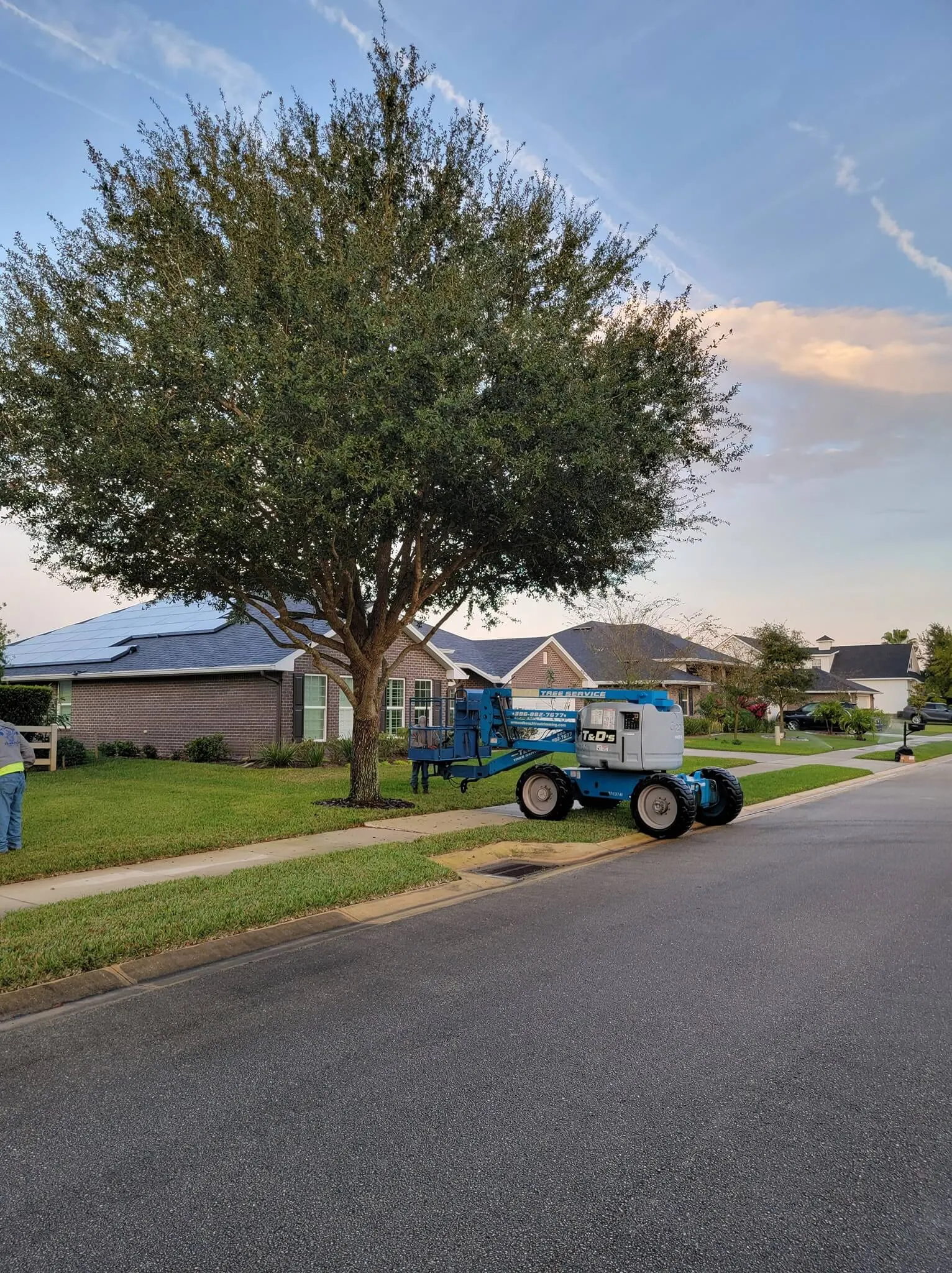 Tree and lift equipment at a residential tree trimming job